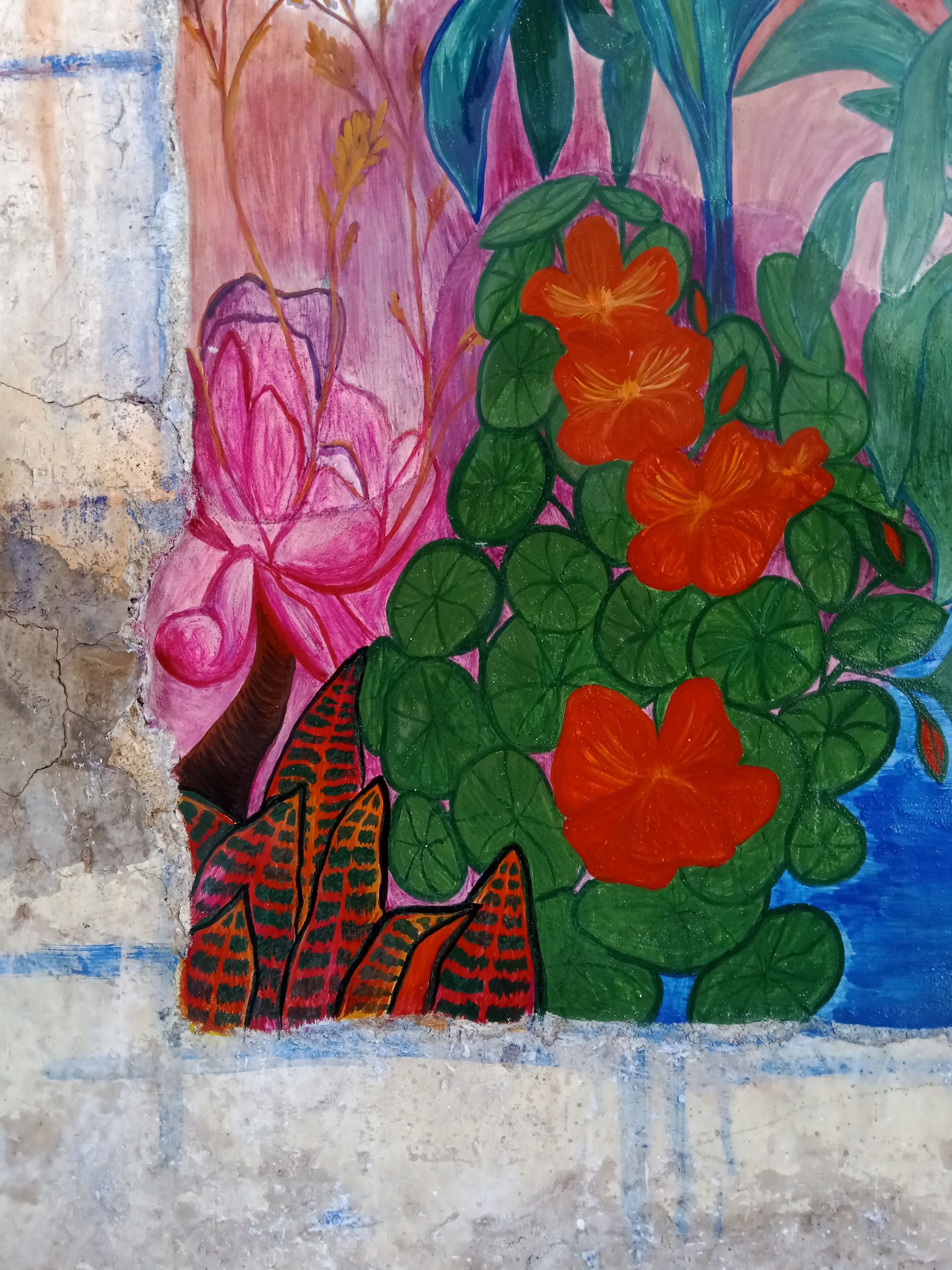 IMG_20221205_152602_741