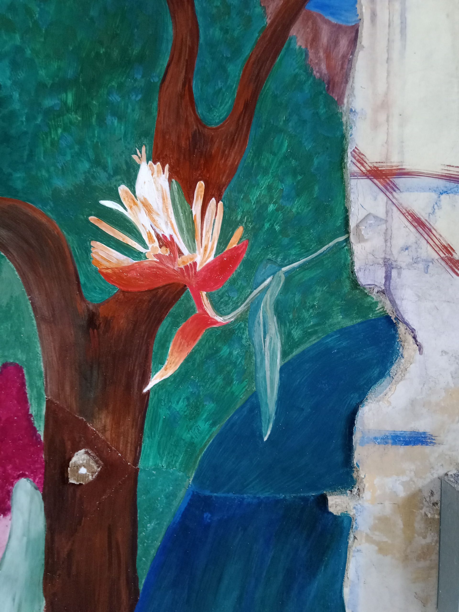 IMG_20221205_152759_252