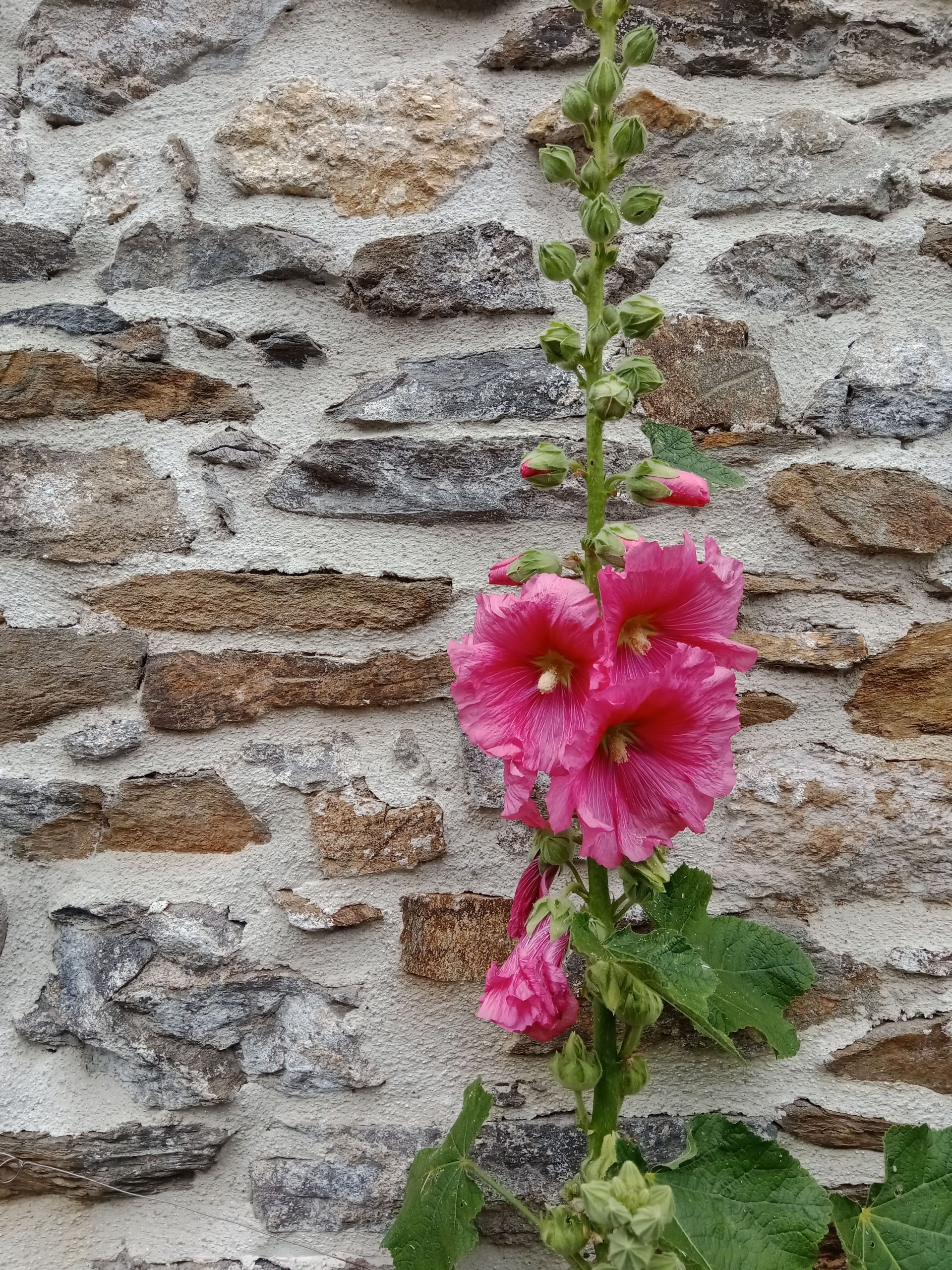 IMG_20240531_165918_125