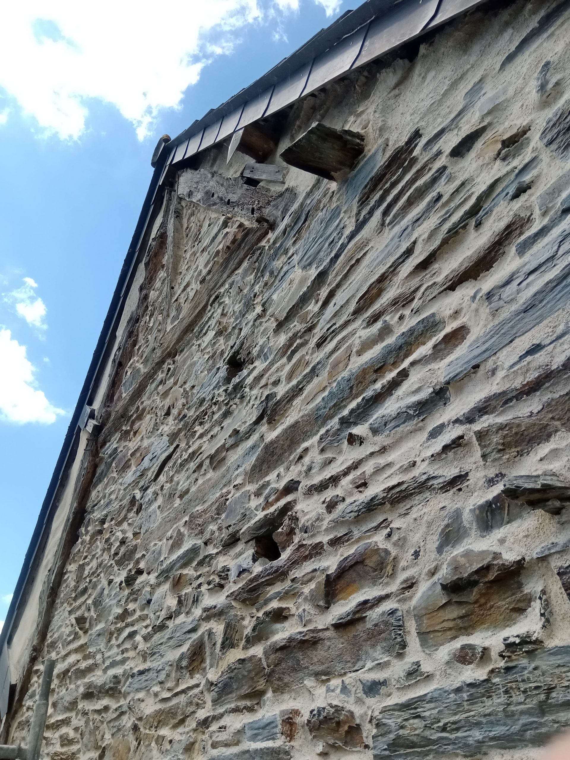 IMG_20240609_123349_165